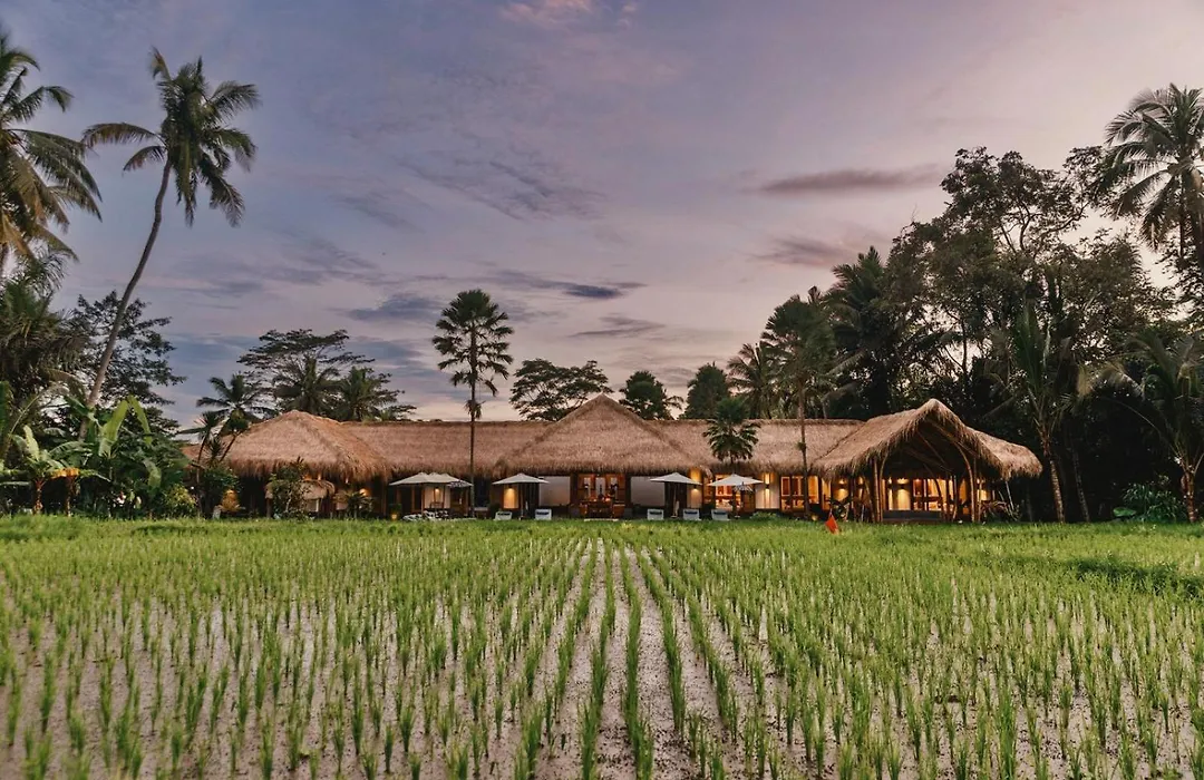 Villa Jepun-1
